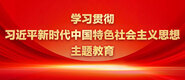 男的将屌插进女的逼里视频学习贯彻习近平新时代中国特色社会主义思想主题教育_fororder_ad-371X160(2)